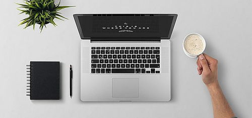 全國(guó)計(jì)算機(jī)專業(yè)大學(xué)排名與企業(yè)網(wǎng)頁設(shè)計(jì) 趨勢(shì)與關(guān)聯(lián)